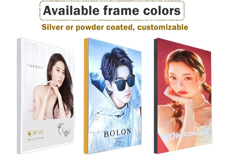 SEG Frame color